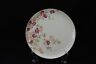 c1884 Brownfield's Staffordshire Bone China Hand Painted Flowers