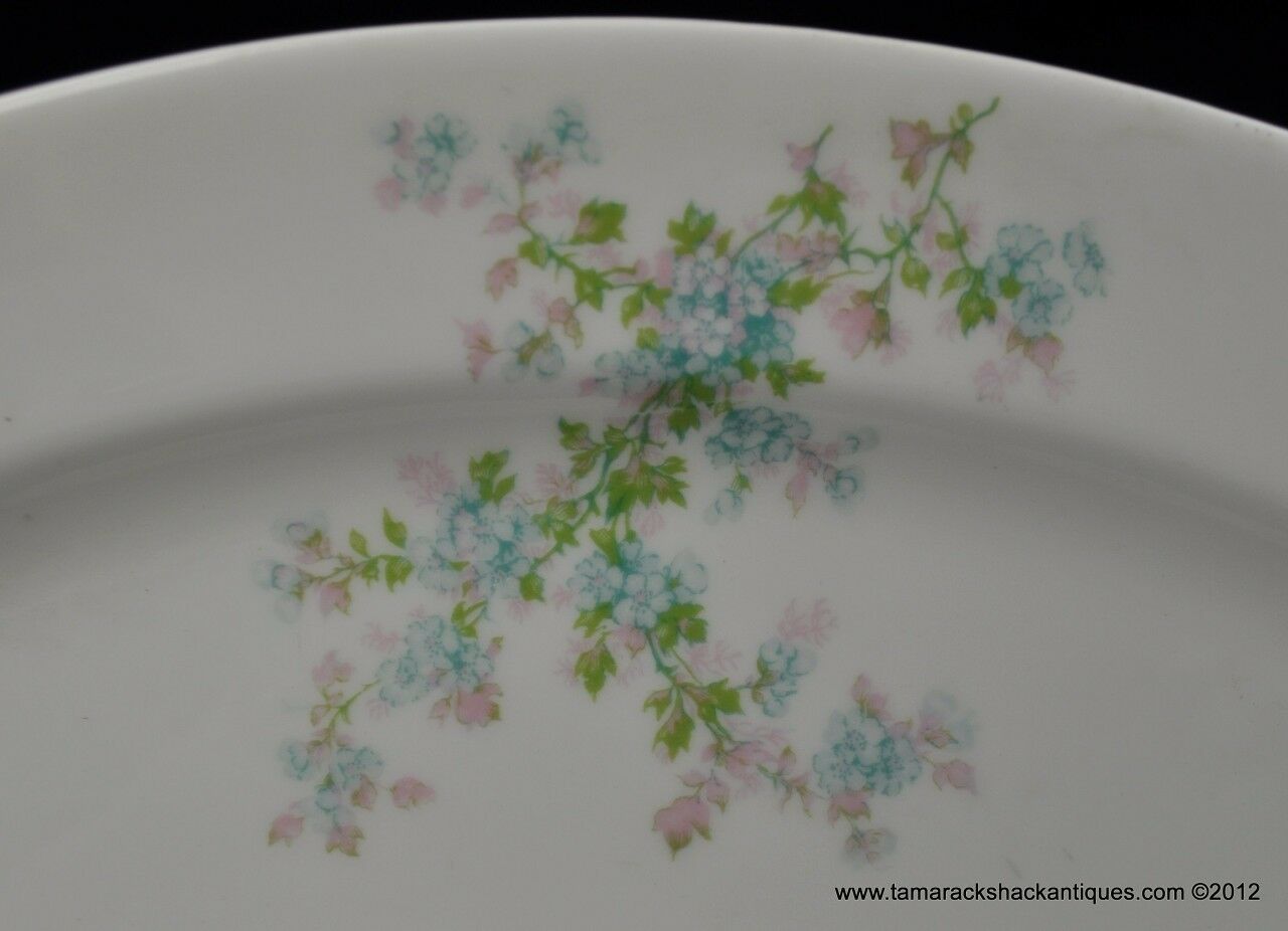 Vintage Floral Pottery Platter By Redwing 13" x 10 7/8" 