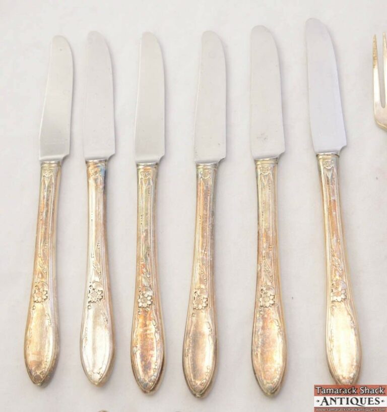 1934 Chateau Heirloom Plate Oneida 47 Piece Set Silver Plate Flatware