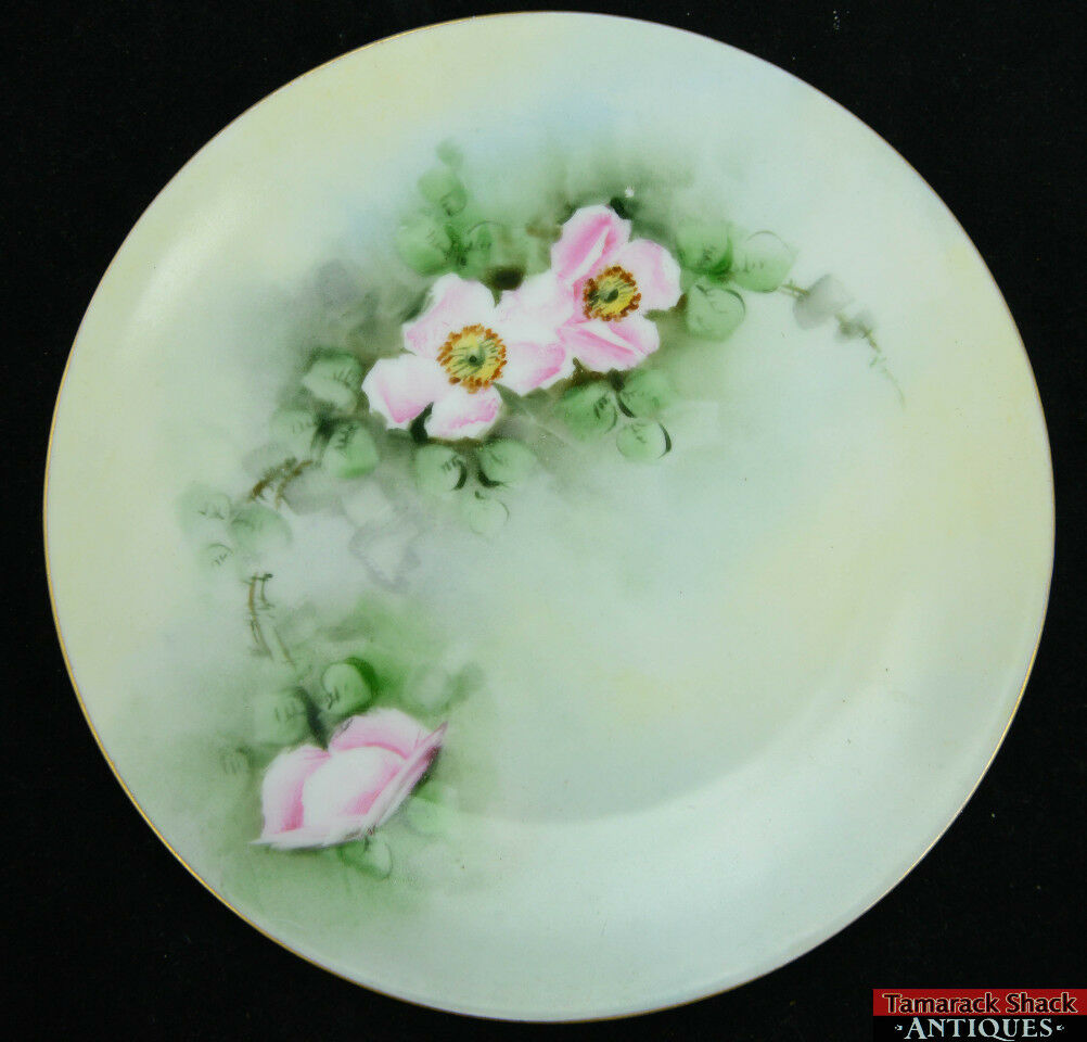 Handpainted Silesia Wild Pink Roses Flowers Helen Pinski Porcelain 6 3/4" Plate