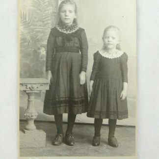 Antique Orig 19th Century Pretty Little Girls Falchenberg Norwegian CDV Photo