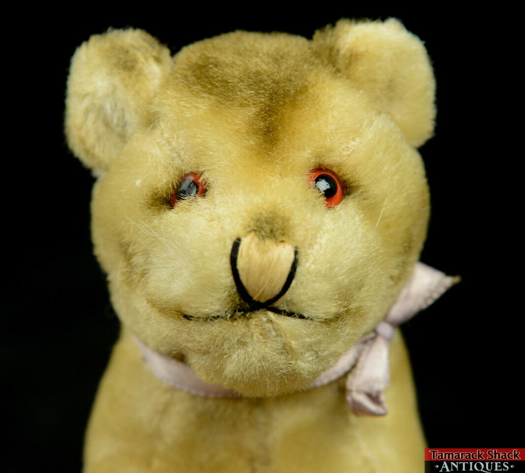 Vintage 1940s Starnold Quality Japan Mohair Stuffed Sitting Lion Cub 5" Wire Frame - Image 5