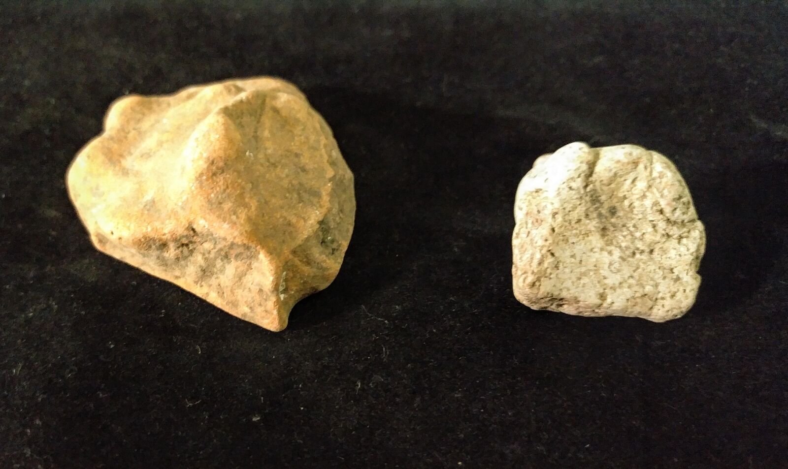Mayan Cenote Yucatan Dig Pre-Columbian Clay Stone Ancient Animal Artifacts L4Z - Image 5