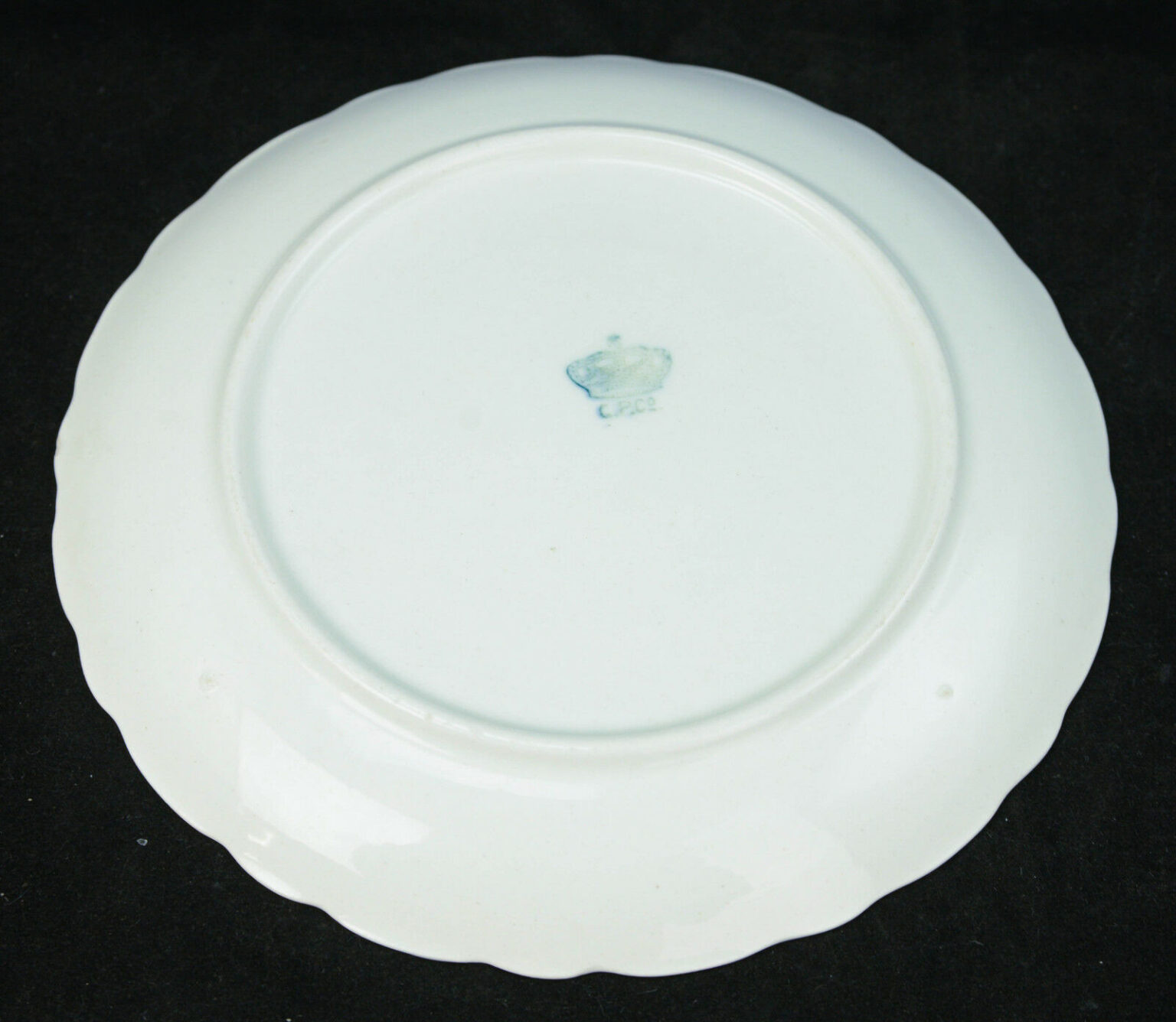 Vintage Cedar Rapids Iowa Yellow Roses C. P. Co. Gild Scallop Rim Souvenir Plate Tamarack